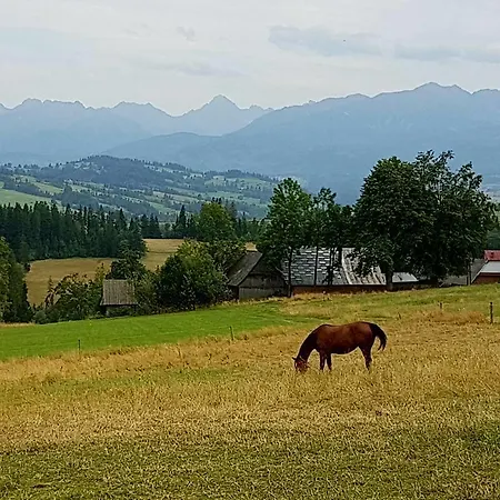 Homestay Gazdowka Zbojnicka