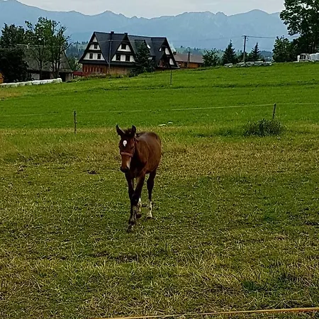 Gazdowka Zbojnicka Privat bolig *